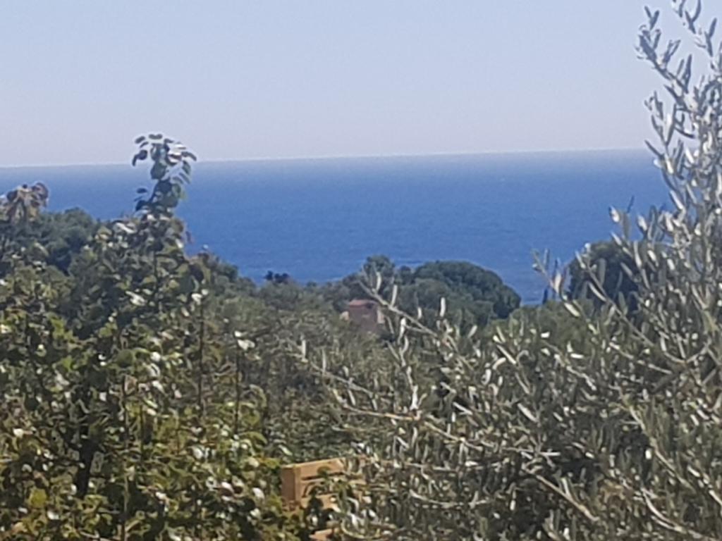 Hostal Ondina Begur Exterior foto